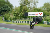Middle Group Black Bikes